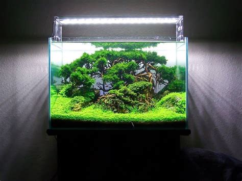 Forest scape by Frederic Fuss... pin by Aqua Poolkoh ...