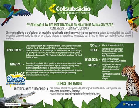 Formato Para Afiliacion Colsubsidio | apexwallpapers.com