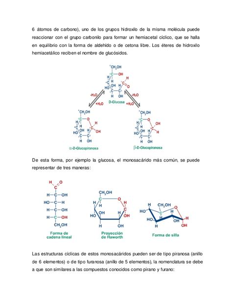 Formulación de cadenas abiertas de los hidratos de carbono