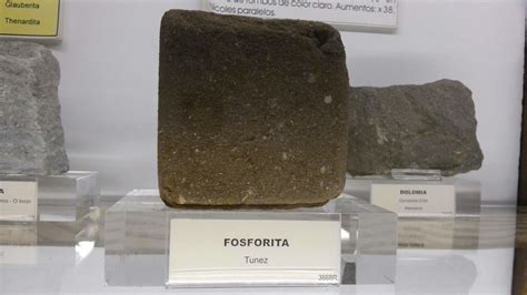 FOSFORITA. Roca sedimentaria no detrítica que contiene ...