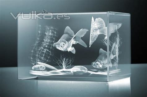 Foto: Cristal 3D grabado con laser.