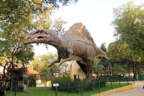 Foto de Loroventura, Monterrey: Dinosaurios   TripAdvisor