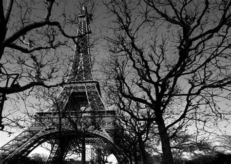 Foto mural Torre Eiffel Paris Con Arboles