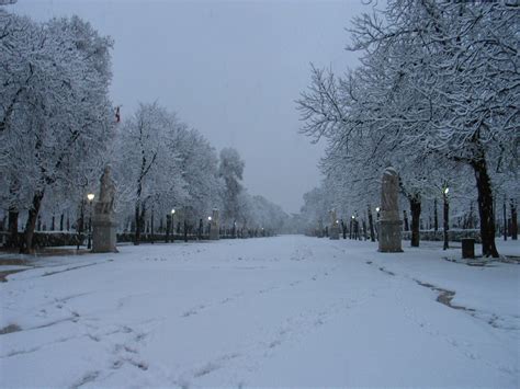 Fotografias de la ultima nevada en Madrid del 9 de enero ...