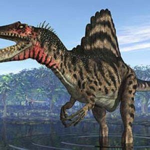 Fotos de Dinosaurios   imágenes reales y en full HD