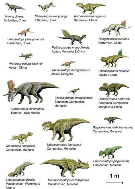Fotos de dinosaurios y sus nombres   Imagui