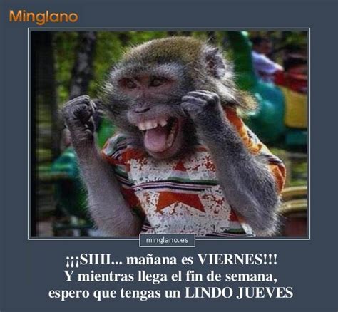Fotos De Monos Con Frases Graciosas | Upcomingcarshq.com
