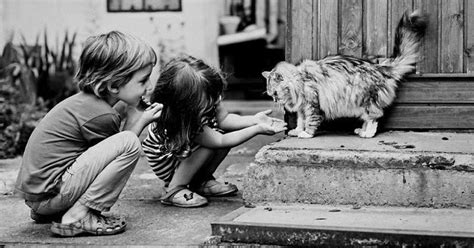 Fotos de niños jugando con gatos