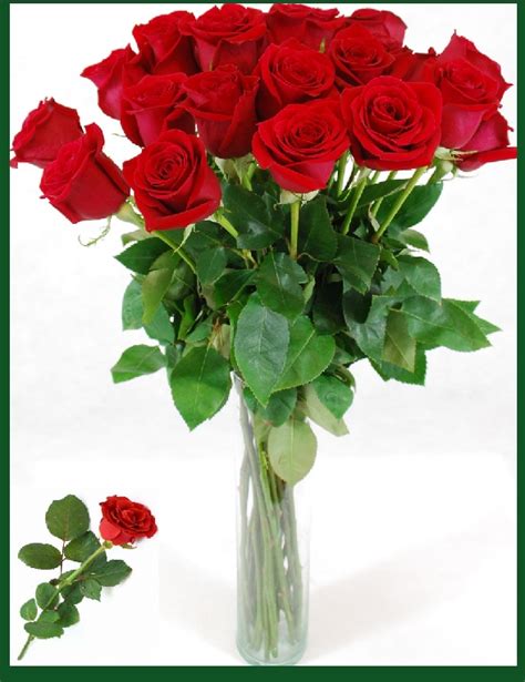 fotos de ramos de rosas rojas y blancas | Imagen De Rosas ...