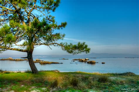 Fotos gratis : playa, paisaje, mar, costa, árbol ...