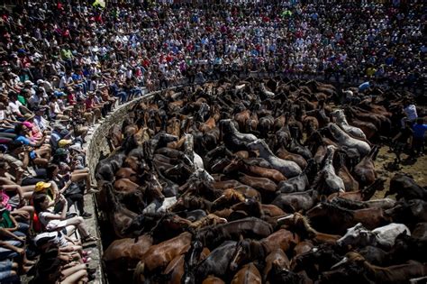 Fotos: La Rapa das Bestas | Galicia | EL PAÍS