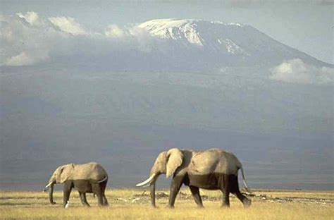 fotos: paisajes de África con elefantes
