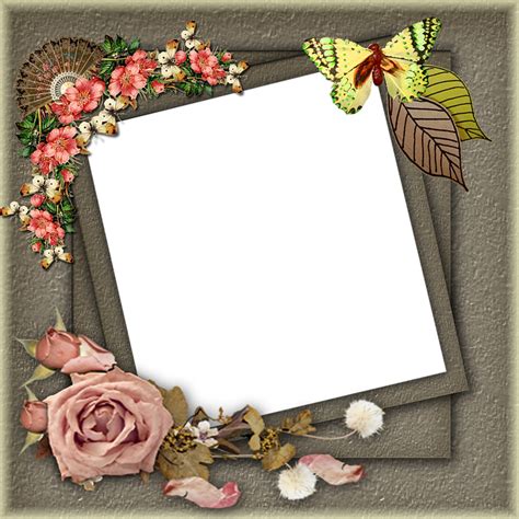 Frame Png Pictures · Free image on Pixabay