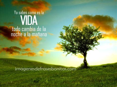 Frases Bellas Con Imagenes Para Compartir | Imagenes De ...