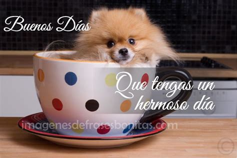 Frases Bonitas Imagenes De Buenos Días | Imagenes De ...