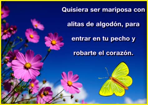 Frases Con Mariposas Azules | Imagenes De Mariposas