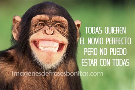 frases cortas graciosas para whatsapp | Imagenes De Frases ...