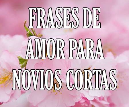 Frases de Amor Cortas para Mi Novio y Novia ⋆ Mensajes ...