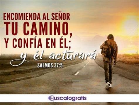 FRASES de la BIBLIA   Buscalogratis.es