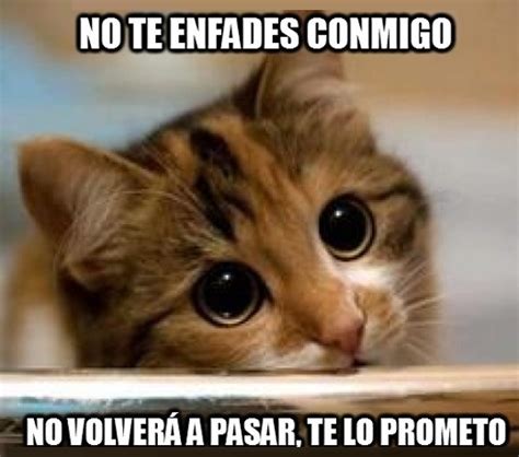 Frases Para Pedir Perdón a un Amor gato.png.jpg  520×459 ...