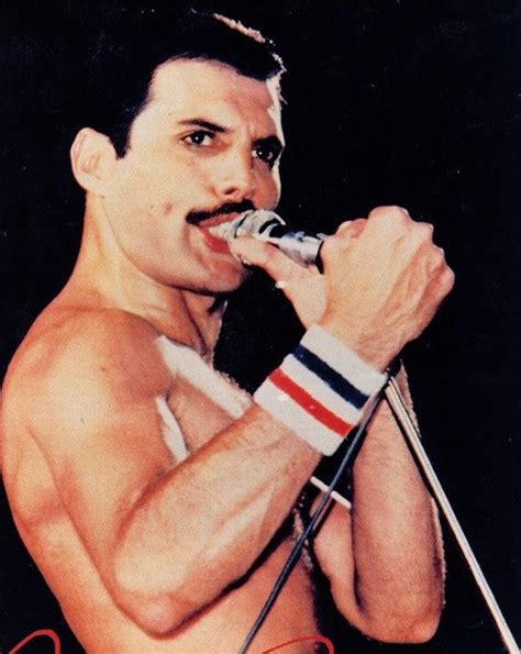 Freddie   Freddie Mercury Photo  32455777    Fanpop
