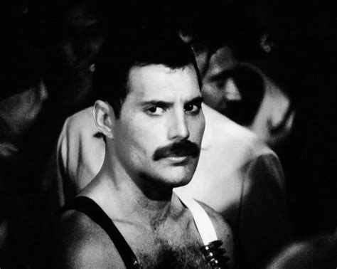 Freddie   Freddie Mercury Photo  34872038    Fanpop