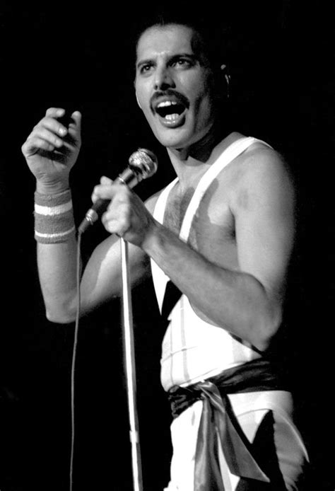 Freddie Mercury becomes Norwegian tail fin hero ahead of ...