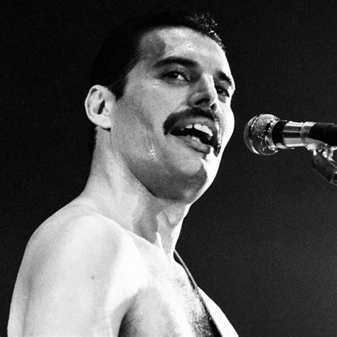 Freddie Mercury   Freddie Mercury Photo  31408957    Fanpop