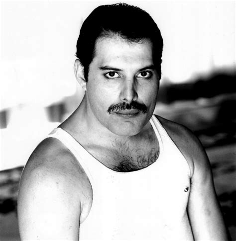 Freddie Mercury images Freddie Mercury   HQ HD wallpaper ...