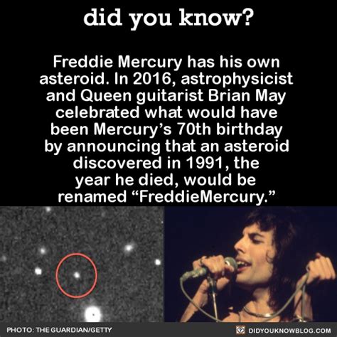 Freddie mercury | Tumblr