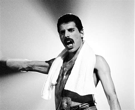 Freddie Mercury Wallpapers Images Photos Pictures Backgrounds