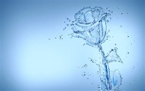 Free Best Pictures: Water Flowers   2560 x 1600 Wide ...