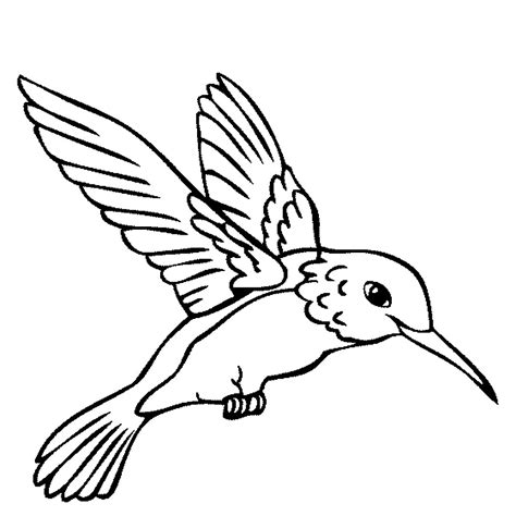 Free coloring pages of bird names