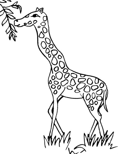 Free coloring pages of giraffe drawing