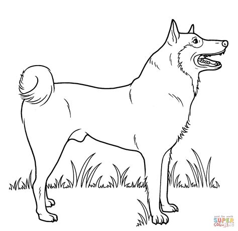 Free coloring pages of husky real
