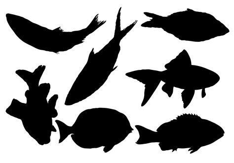 Free Fish Silhouette Vector Download Free Vector Art ...