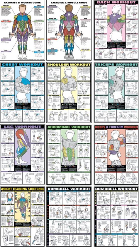 Free Fitness Charts To Lose Weight | Mind and Body Health