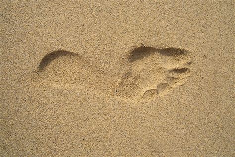 Free Images : texture, footprint, soil, material, tracks ...