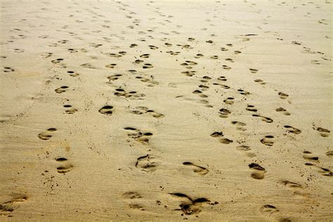 Free photo: Sand, Footprint, Beach, Nature   Free Image on ...