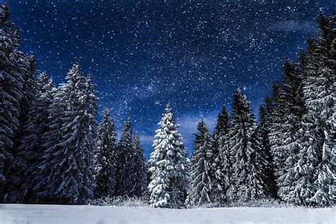 Free photo: Snow, Nature, Night, Travel, Blue   Free Image ...