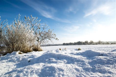 Free photo: Winter, Field, Snow, Landscape   Free Image on ...