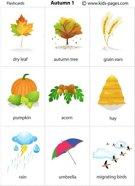 Free printable autumn flashcards | english | Pinterest ...