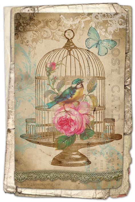 FREE Printable Birdcage Art Card   Avalon Rose Design