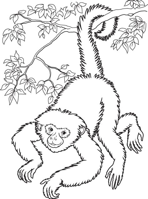 Free Printable Monkey Coloring Pages For Kids