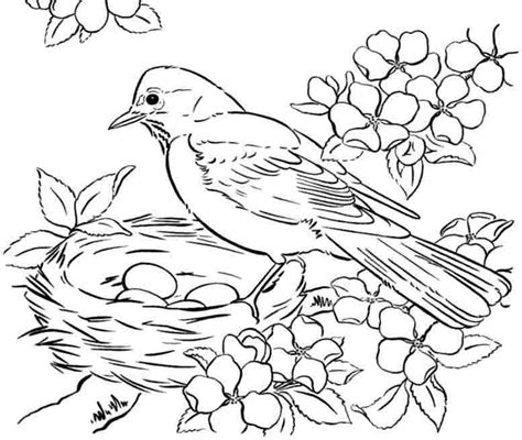 Free realistic birds coloring pages