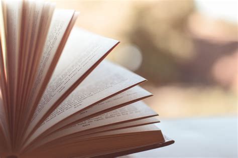 Free stock photo of blur, blurred, book