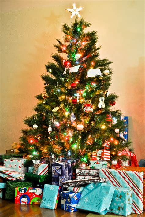 Free stock photo of christmas, christmas tree, gifts