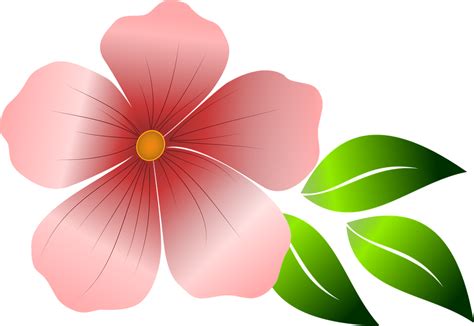 Free vector graphic: Flower, Pink Flower, Spring, Summer ...
