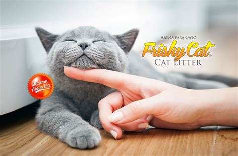 Frisky Cat la mejor Arena para gato