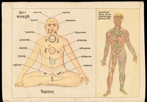 From Ayurveda to biomedicine: understanding the human body